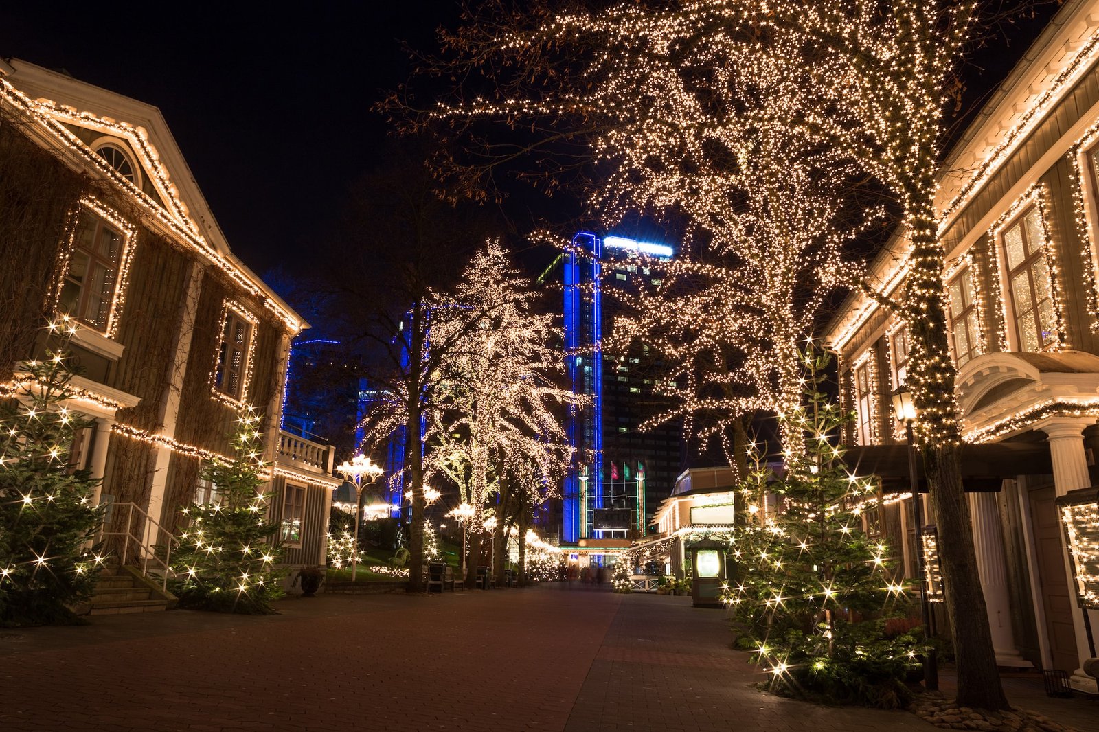 Roofline and trees glowing with a professionally designed holiday lighting setup